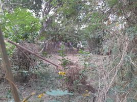  Terreno (Parcela) en venta en Acapulco, Guerrero, Acapulco, Guerrero