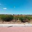  Land for sale in Lagos De Moreno, Jalisco, Lagos De Moreno