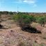  Land for sale in Lagos De Moreno, Jalisco, Lagos De Moreno
