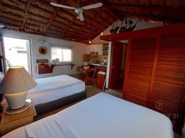 1 chambre Appartement for rent in Quintana Roo, Cozumel, Quintana Roo