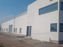 Studio Villa zu vermieten in Leon, Guanajuato, Leon