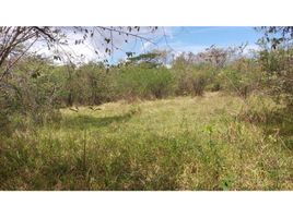  Land for sale in Cocle, Penonome, Penonome, Cocle