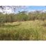  Land for sale in Penonome, Cocle, Penonome, Penonome