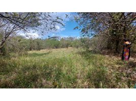  Land for sale in Penonome, Cocle, Penonome, Penonome