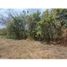  Land for sale in Penonome, Cocle, Penonome, Penonome