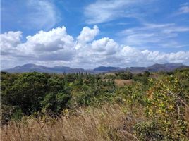  Land for sale in Penonome, Cocle, Cocle, Penonome