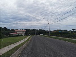  Grundstück zu verkaufen in San Carlos, Panama Oeste, El Espino