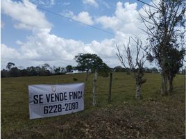 Studio Villa zu verkaufen in La Chorrera, Panama Oeste, Barrio Colon