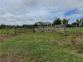  Terrain for sale in Uruguay, Entre Rios, Uruguay