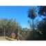  Land for sale in San Cosme, Corrientes, San Cosme