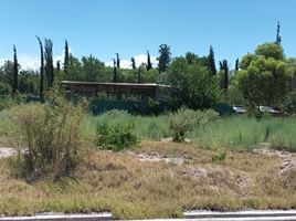  Land for sale in Guaymallen, Mendoza, Guaymallen