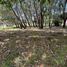  Land for sale in San Vicente, Buenos Aires, San Vicente