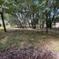  Land for sale in San Vicente, Buenos Aires, San Vicente