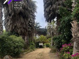  Land for sale in Chile, San Antonio, Valparaiso, Chile