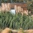 Studio House for rent in Pichilemu, Cardenal Caro, Pichilemu