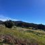 Terreno (Parcela) en venta en Chile, Ránquil, Itata, Ñuble, Chile