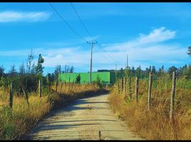  Terreno (Parcela) en venta en Chile, Santa Juana, Concepción, Biobío, Chile