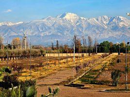  Terreno (Parcela) en venta en Maipu, Mendoza, Maipu