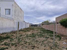  Land for sale in Neuquen, Confluencia, Neuquen