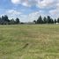  Land for sale in San Vicente, Buenos Aires, San Vicente