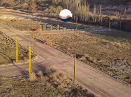  Land for sale in Confluencia, Neuquen, Confluencia