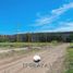  Land for sale in Confluencia, Neuquen, Confluencia