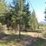  Land for sale in Cushamen, Chubut, Cushamen, Chubut