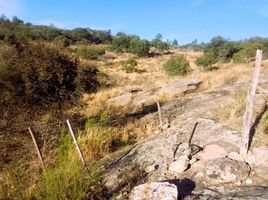  Terreno (Parcela) en venta en Punilla, Cordobá, Punilla