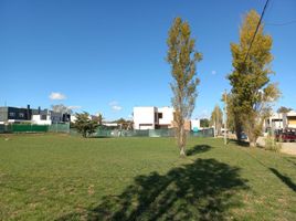  Grundstück zu verkaufen in La Plata, Buenos Aires, La Plata
