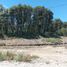  Land for sale in Neuquen, Los Lagos, Neuquen