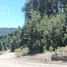  Land for sale in Neuquen, Los Lagos, Neuquen