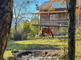  Land for sale in Cushamen, Chubut, Cushamen, Chubut