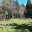  Land for sale in Cushamen, Chubut, Cushamen, Chubut