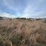  Land for sale in Colon, Cordoba, Colon