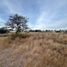  Land for sale in Colon, Cordoba, Colon