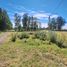  Land for sale in Confluencia, Neuquen, Confluencia