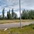  Land for sale in Confluencia, Neuquen, Confluencia