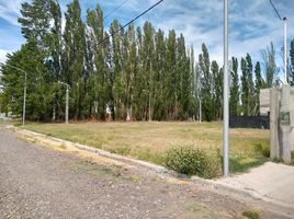  Land for sale in Confluencia, Neuquen, Confluencia