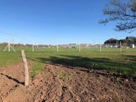  Grundstück zu verkaufen in La Plata, Buenos Aires, La Plata