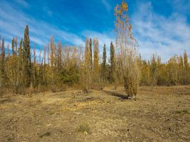  Terreno (Parcela) en venta en Confluencia, Neuquen, Confluencia