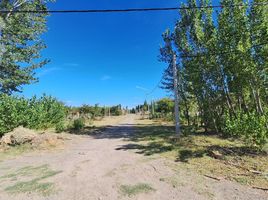  Terreno (Parcela) en venta en Confluencia, Neuquen, Confluencia