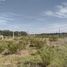  Land for sale in Neuquen, Confluencia, Neuquen