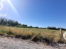  Land for sale in Confluencia, Neuquen, Confluencia