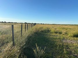  Land for sale in Colon, Entre Rios, Colon