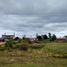  Land for sale in Gualeguaychu, Entre Rios, Gualeguaychu