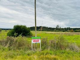  Land for sale in Colon, Entre Rios, Colon