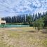  Land for sale in Neuquen, Confluencia, Neuquen