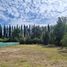  Land for sale in Neuquen, Confluencia, Neuquen