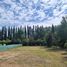  Land for sale in Neuquen, Confluencia, Neuquen