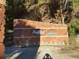  Grundstück zu verkaufen in Cushamen, Chubut, Cushamen, Chubut